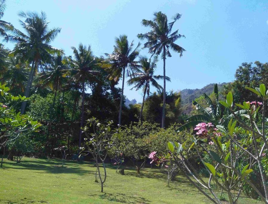 Serene&spa * Mangsit