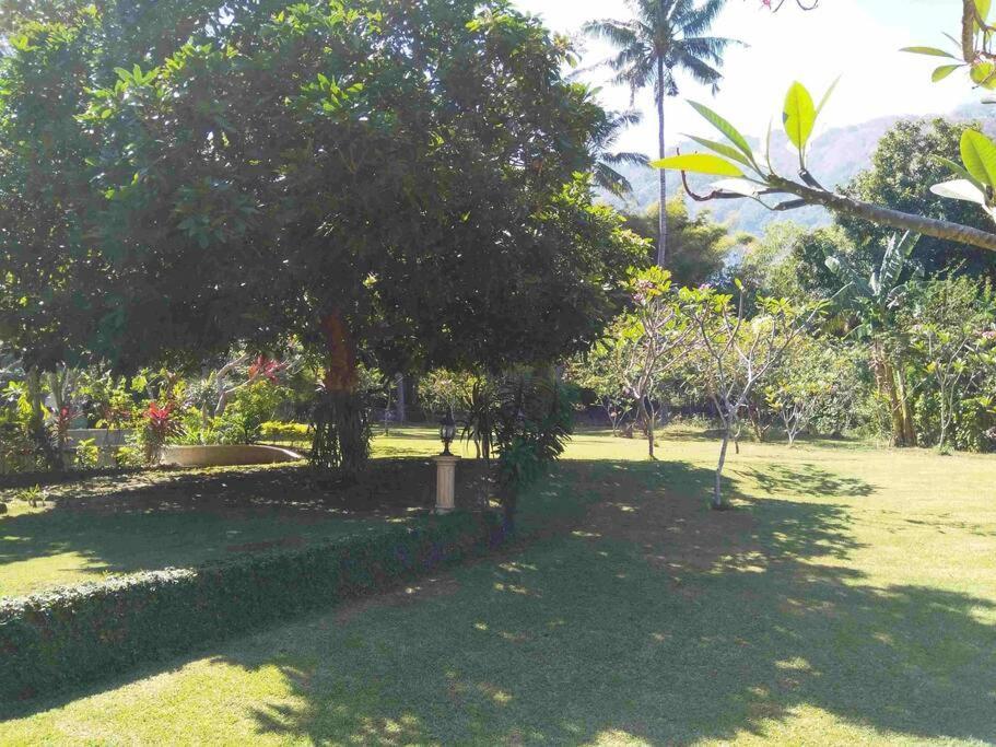 Serene&spa Villa